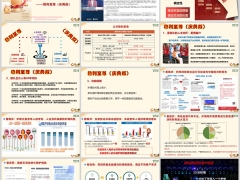 合众稳利至尊庆典版产品组合案例演示销售逻辑28页.pptx 