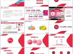 个人养老金发展回顾客户群体推动个养销售22页.pptx 