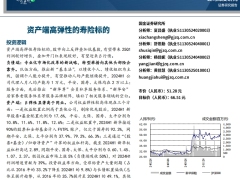 新华保险资产端高弹性的寿险标的18页.pdf 