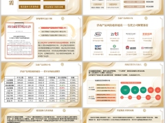 市场利率全面下调延迟退休养老焦虑共富视角下传承难8页.pptx 