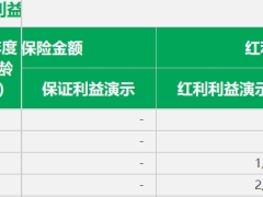 中宏宏盈人生典藏版终身寿险分红型利益演示表.xlsx 