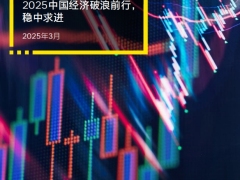 2025中国经济破浪前⾏稳中求进10页.pdf 