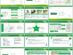 海保福享年年年金保险背景产品形态卖点案例16页.pptx 