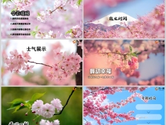 春天粉色鲜花早会流程模板10页.pptx 