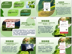 每日新闻资讯25年3月8日早会使用11页.pptx