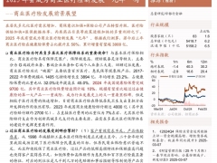 商业医疗险发展前景展望2025年会成为商业医疗险新发展元年吗20页.pdf 