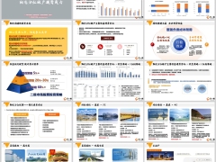 阳光投资策略优势汇总分红险投资实力分析23页.pptx 