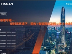 低利率环境下固收加有望再迎发展关注中波稳健策略29页.pdf 