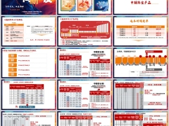 泰盈鑫利年年中期年金产品形态五大产品特点案例演示19页.pptx 