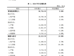 中国保险行业协会2024年保险市场观察12页.pdf 