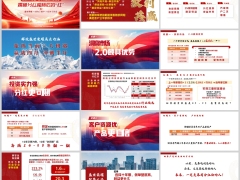 新华盛世荣耀三大机遇揭秘终身寿销售解读16页.pptx 