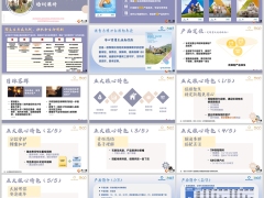 新华安心保产品定位核心特色产品介绍案例演示35页.pptx 