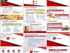 瑞众东方红岁悦版背景产品形态特色亮点案例规则20页.pptx 