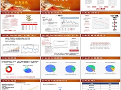 复星保德信星盈家朱雀版背景产品形态亮点案例52页.pptx 