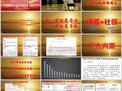 泰康鑫利年年10万6年交15年满期案例产品介绍37页.pptx 