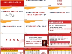信泰如意鑫享2.0产品特色形态责任案例公司介绍43页.pptx 