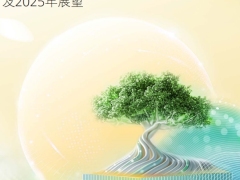 中国银行业2024年发展回顾及2025年展望208页.pdf 