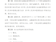国家金融监督管理总局行政处罚办法27页.pdf 
