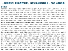 保险行业一季报综述利润表现分化NBV延续较好增长COR大幅改善14页.pdf 