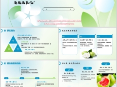 每日健康芭乐通便强者维C含量比苹果还高还能抗氧化含备注7页.pptx 