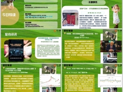 每日新闻资讯25年5月12日早会使用11页.pptx