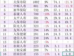 2025年第一季度保险公司保费和利润排行榜.xlsx 