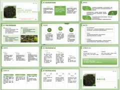 每日健康地木耳比木耳紫菜鲜美补钙护心跟鸡蛋很配含备注12页.pptx 