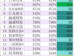 2025年第一季度保险公司偿付能力排行榜.xlsx 