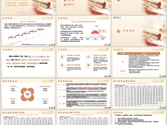 君康一生一世金禧1号背景产品介绍案例演示21页.pptx 