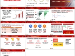 60后老龄客群客群特点向内看向外看增长迅速客群需求13页.pptx 