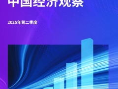 中国经济观察2025年二季度经济走势政策分析82页.pdf 