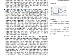 低利率下保险业的困境与出路报告资负并举循序渐进21页.pdf 