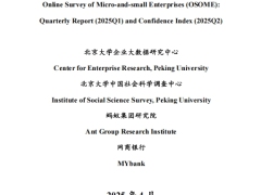 中国小微经营者调查报告2025Q133页.pdf 