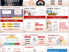 2025延迟退休下个人养老金解析养老规划标准30页.pptx 