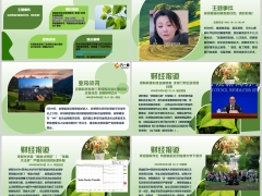 每日新闻资讯25年5月24日早会使用11页.pptx