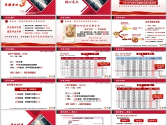 新华盛世荣耀智赢版产品核心卖点案例演示训练17页.pptx 