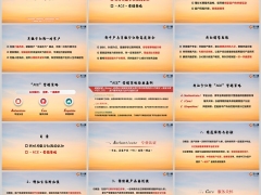 绩优分享ACE模式营销策略热销月缴分红险需求28页.pptx 