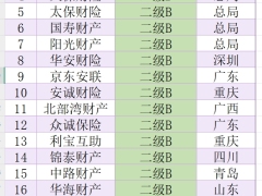 2024年保险公司消保评价情况.xlsx 