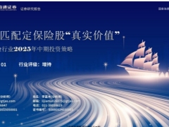 保险行业2025年中期投资策略资负匹配定保险股真实价值47页.pdf 