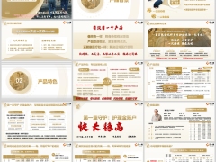 复星联合光辉岁月长青版产品背景特色规则逻辑32页.pptx 