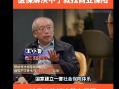视频经济学家王小鲁谈保险医保解决不了就找商业保险.zip 