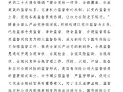 大监督格局下国有保险公司合规问责定位探析12页.pdf 