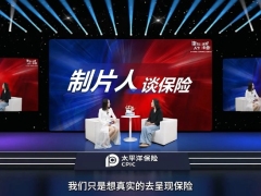 视频蛮好的人生制片人谈保险行业.zip 