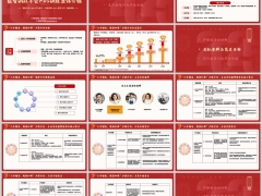 太保蛮好人生传世3万6年交组合案例目标客群需求分析19页.pptx 