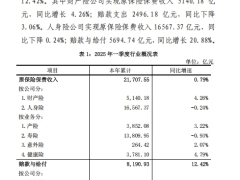中国保险行业协会2025年一季度保险市场观察10页.pdf 