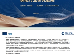 2025保险行业研究框架68页.pdf 