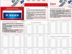 2025延迟养老背景30个问答养老模式规划76页.pptx 