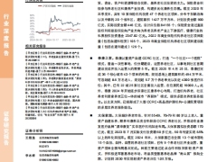 机构养老养老地产之案例篇险企发挥比较优势铸造CCRC行业标杆21页.pdf 