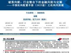 2025中国机构配置手册机构风险篇破茧向新行业整合下的金融风险与化解112页.pdf 