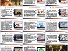 保险周刊6月9日至6月15日15页.pptx
